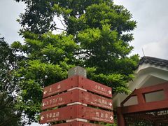 -广州市帽峰山景区
