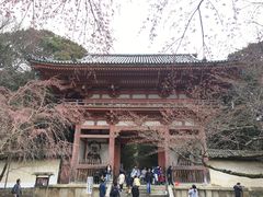 -醍醐寺