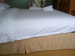 -维也纳智好酒店(深圳罗湖口岸国贸火车站店)