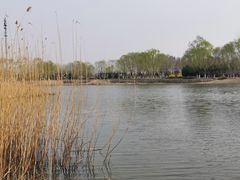 -永定河休闲森林公园