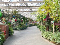 -南宫五洲植物乐园