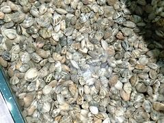 -海岸风情蒸汽海鲜自助餐厅(家宴金手勺店)