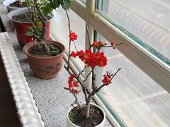 -肥肥小厨(咸阳路店)