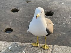 -星海广场