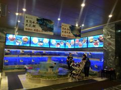 水产区-东方御宴海鲜酒楼(棕泉酒店)