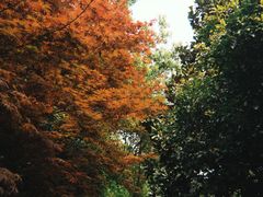 -南京东郊国宾馆