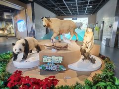 -陕西自然博物馆