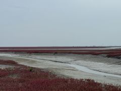 -红海滩国家风景廊道