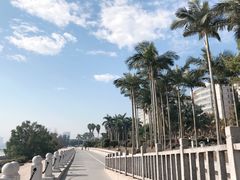-霞山观海长廊