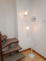 -Yukina Plus专业日式美肌