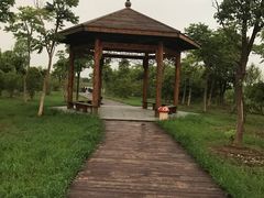 -南湖湿地公园