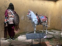 -四川大学博物馆