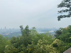 -紫金山天文台