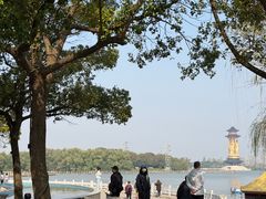 -溱湖国家湿地公园