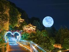 -巴倒烫陆派重庆火锅(南山店)