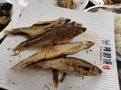 -庆岭迎宾园正宗活鱼馆