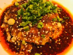 口水鸡-渝信川菜(华盛店)