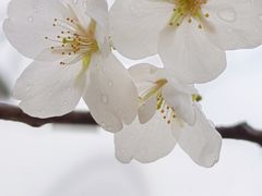 -蠡湖大桥公园
