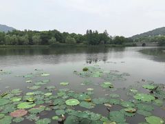 -茗醉园茶楼