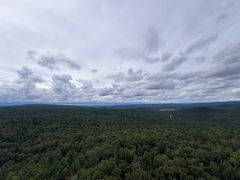 -汤旺河林海奇石景区
