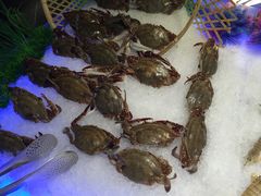 -欢乐牧场(T12店)