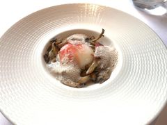 -蝶舍·MAISON PAPILLON