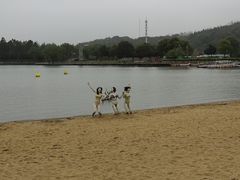-上海月湖雕塑公园