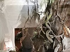 -大树头·花园餐厅(市桥店)