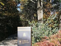 -昆明市金殿名胜区