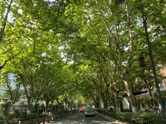 -Primo·丽莫意大利窑烤披萨