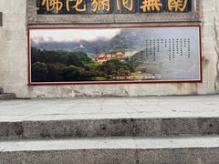 -深圳仙湖植物园