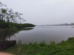 -艾溪湖湿地公园