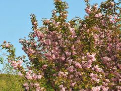 -梁鸿国家湿地公园