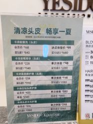 -YESIDO椰岛造型