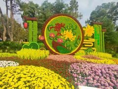 -南山植物园