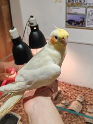 -Zoolung Zoolung动物主题公园(海信广场店)