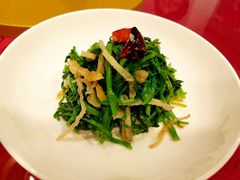 西洋菜拌竹耳-金鼎轩·滋养小餐馆(联想桥店)