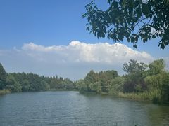 -苏州太湖国家湿地公园