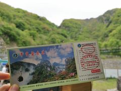 -牛背梁国家森林公园