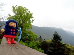 android_upload_pic-广州市石门国家森林公园