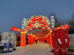 -沈阳奥体冰雪嘉年华