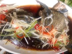 豉蒸南海大龙胆-必点海鲜·鲅鱼水饺(鞍山西道店)