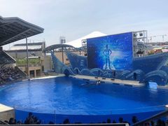 -上海海昌海洋公园