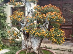 -惠山古镇·寄畅园