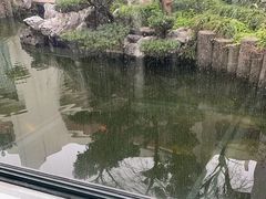 -园林格兰云天大酒店-太极名厨中餐厅