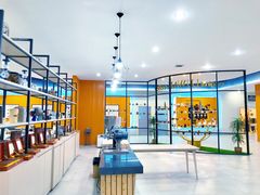 -巴厘岛黄金金兔咖啡工厂