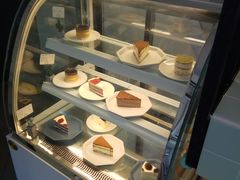 -有猫主题·治愈系猫咖(曾厝垵店)