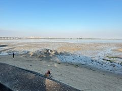 -北海金海湾红树林生态旅游区