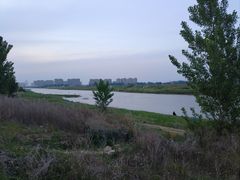 -阜外华中心血管病医院