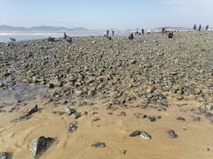 -长江澳风力发电景观区